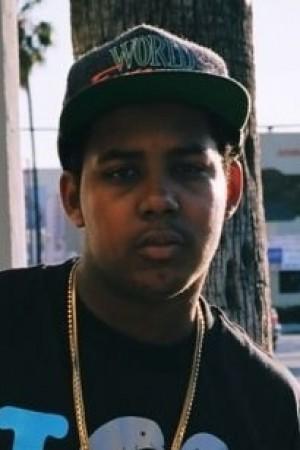 Picture of Jasper Dolphin