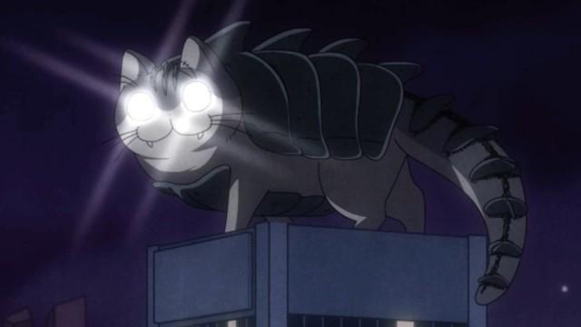 A Cat with Gamera