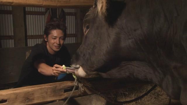 第１７週　山里の夏うたかたの恋（１０１）