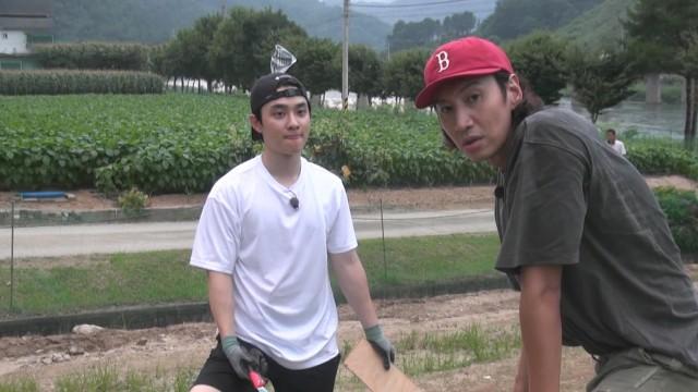 Farming on Boknal