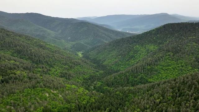 Georgiens wilde Schönheit (2) - Von der Schwarzmeer-Küste in die Berge