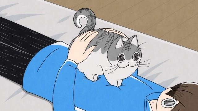 Night 52: A Cat Climbing on Your Stomach