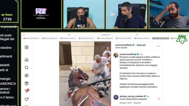 Cavalli stremati si accasciano al suolo a Palermo, FERMATE gli SFRUTTATORI. | Cerbero Podcast #1945