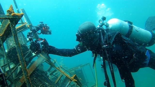 海よ...よみがえれ！ 〜ニッポン式の挑戦〜