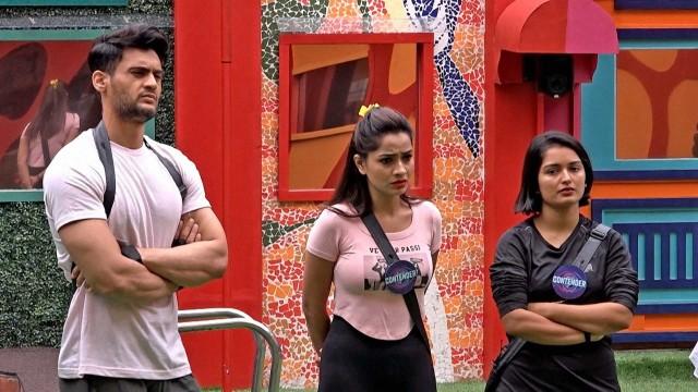 Day 19: Who Will Be the Third Housemate?