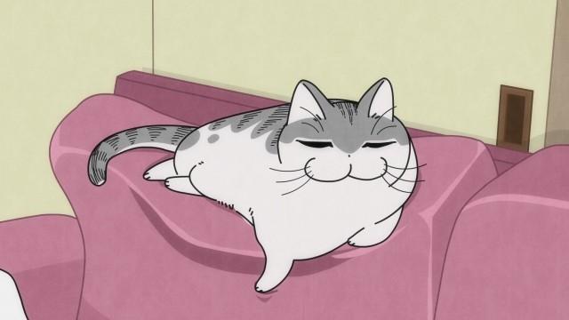 Night 59: A Cat Who Can't Decide Where to Rest Its Forepaw