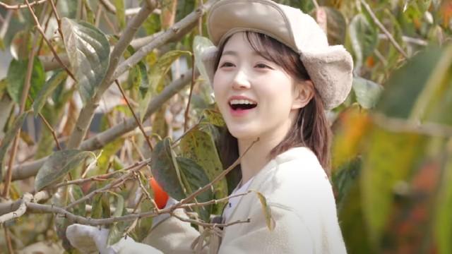 Fall Break EP.1 | This Vacation is K-Rural! Do You Want to Go Persimmon Picking with Us?