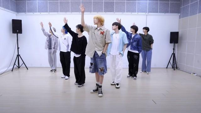 SEVENTEEN (세븐틴) 'Rock with you' Special Dance Practice