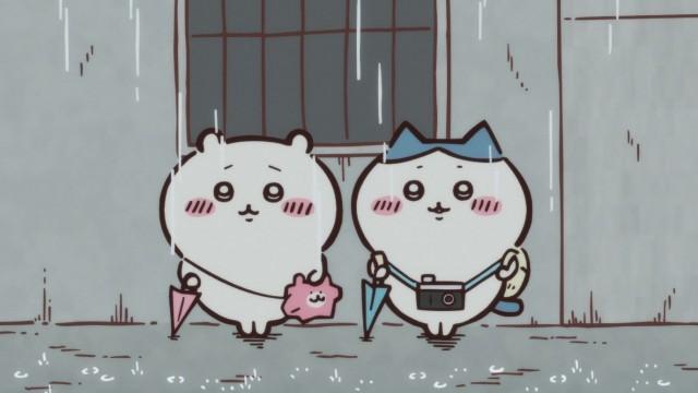 どっちにしよう／何入れてたの？