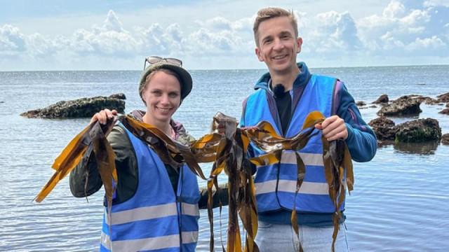 Algen - Klimahelden aus dem Meer