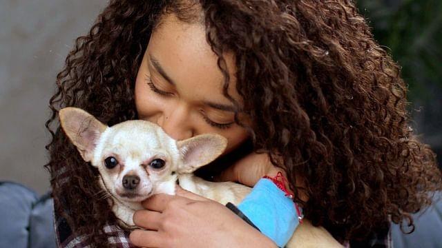 Les chiens nous aiment-ils vraiment ?