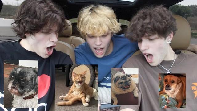 WE RATE YOUR PETS (very scary or cute) part 2