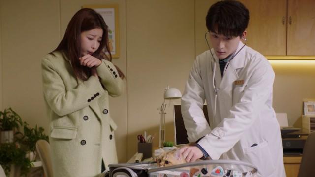 When It Snows, Go for a Walk