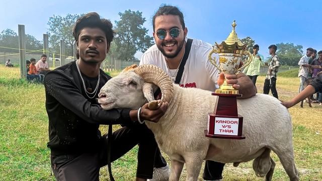 Underground GOAT FIGHTING Rings of India