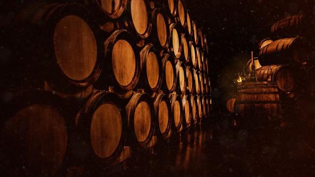 The Gunpowder Plotː Countdown to Treason