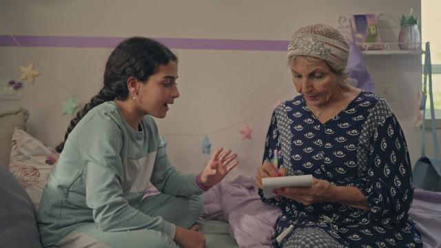 שולה החוקרת