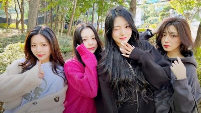 Beauty that colors the Autumn | SIGNAL 231115