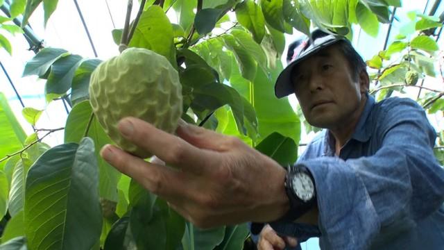 秋の味覚に異変！ ～温暖化に立ち向かう～