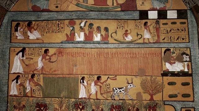 Egypt's Elite 