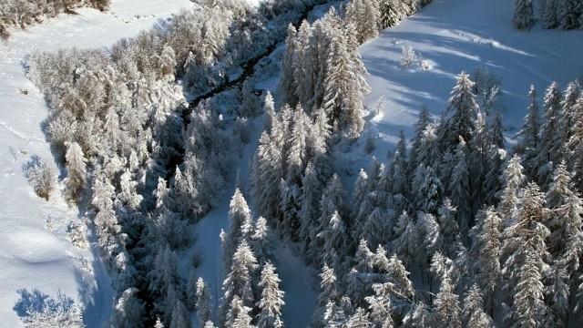 Esperando la nieve - ¿En peligro de extinción?