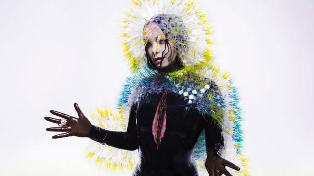 Vulnicura