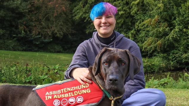 Superteam - Hund und Mensch