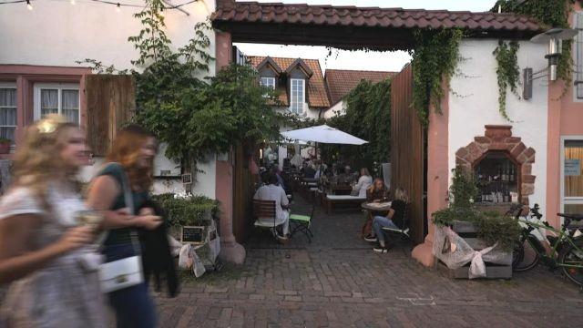Im Süden der Pfalz