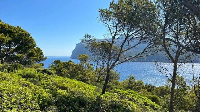Mallorca im Sommer