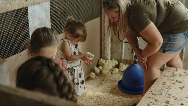 Entreprise et famille