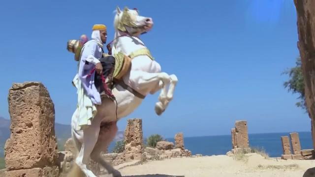 Seventh challenge: The fantasia