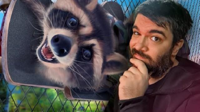 WANTED RACOON