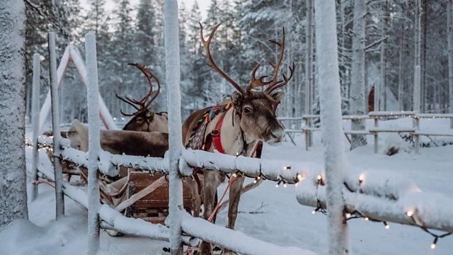 Winter Wonderland Adventures