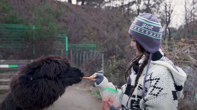DANIELLE's Healing Journey EP.1 | Meet Her Animal Friends