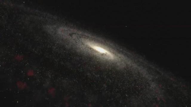 Die Welt als Ganzes - Kein Makrokosmos ohne Mikrokosmos