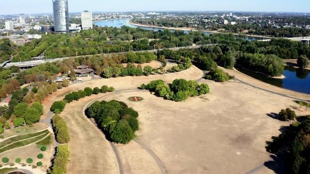Extremwetter in NRW: Trockene Sommer und die Folgen