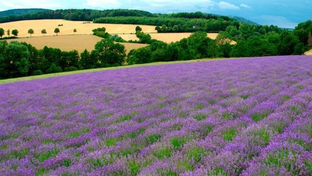 Toskana, Provence, Südsee: Die ganze Welt in NRW