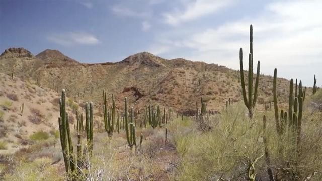 México: la indomable Baja California