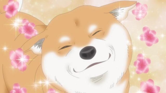 漫画家と柴犬