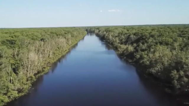 Las guardianas de la naturaleza de Florida