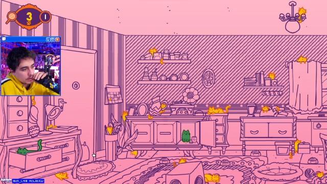 A Building Full of Cats