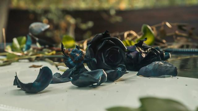 Memento