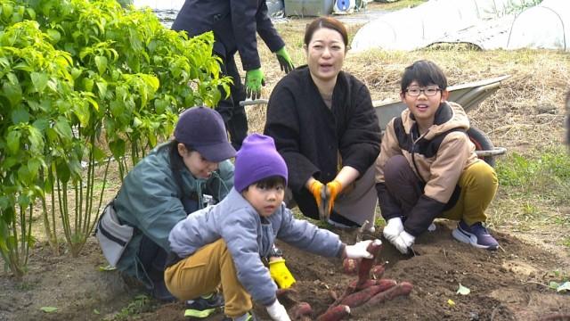 大地の恵み 巨大な市民農園で