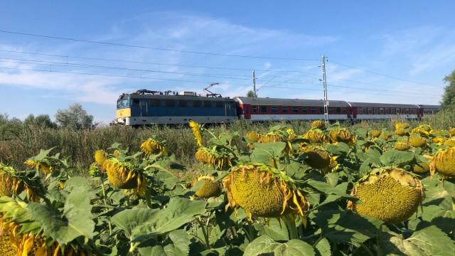 The Puszta by train