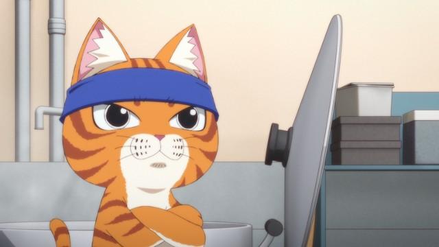A Closed-Door Hire / The Athletic Black Cat