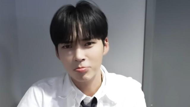 When You Stack Nine Types of Cuteness Instead of a Chair Tower