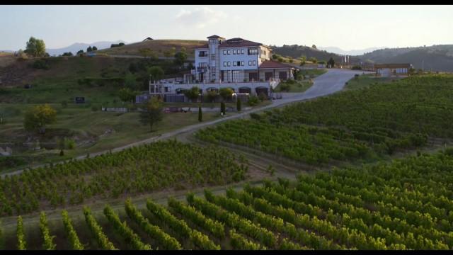 Cabernet Franc