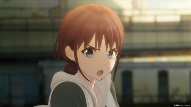 夜行性の生き物3匹