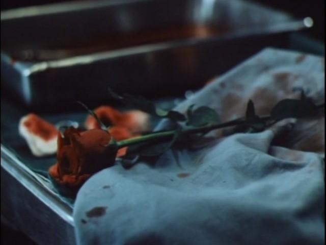 Ghosts