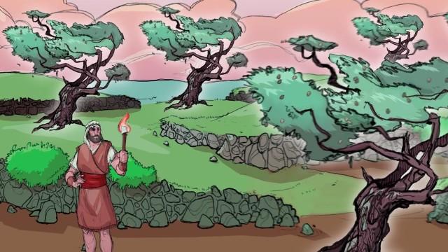 The Olive Tree Allegory