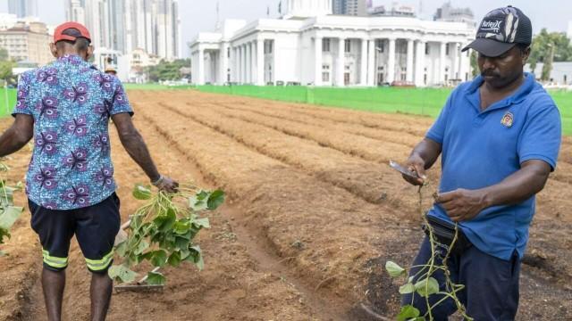 Sri Lanka : les affamés de la crise